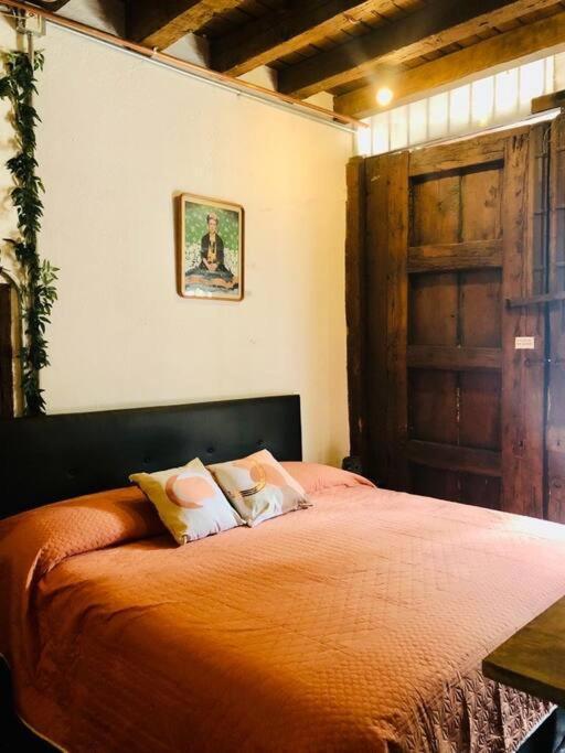 Tizapan 2 Beautiful With Patio 1be/1ba Apartment Mexico City