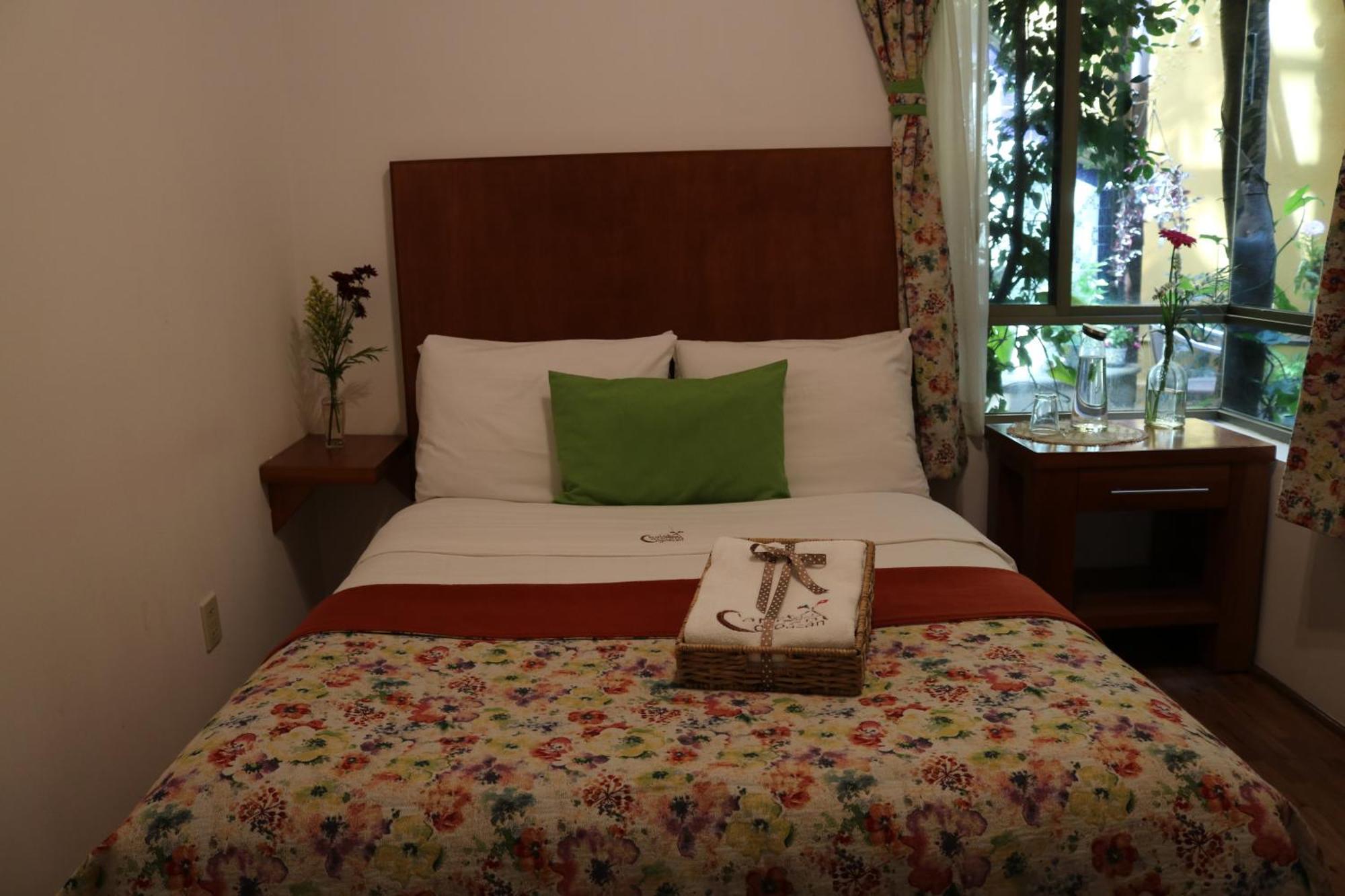 Del Carmen, Coyoacan Mexico City