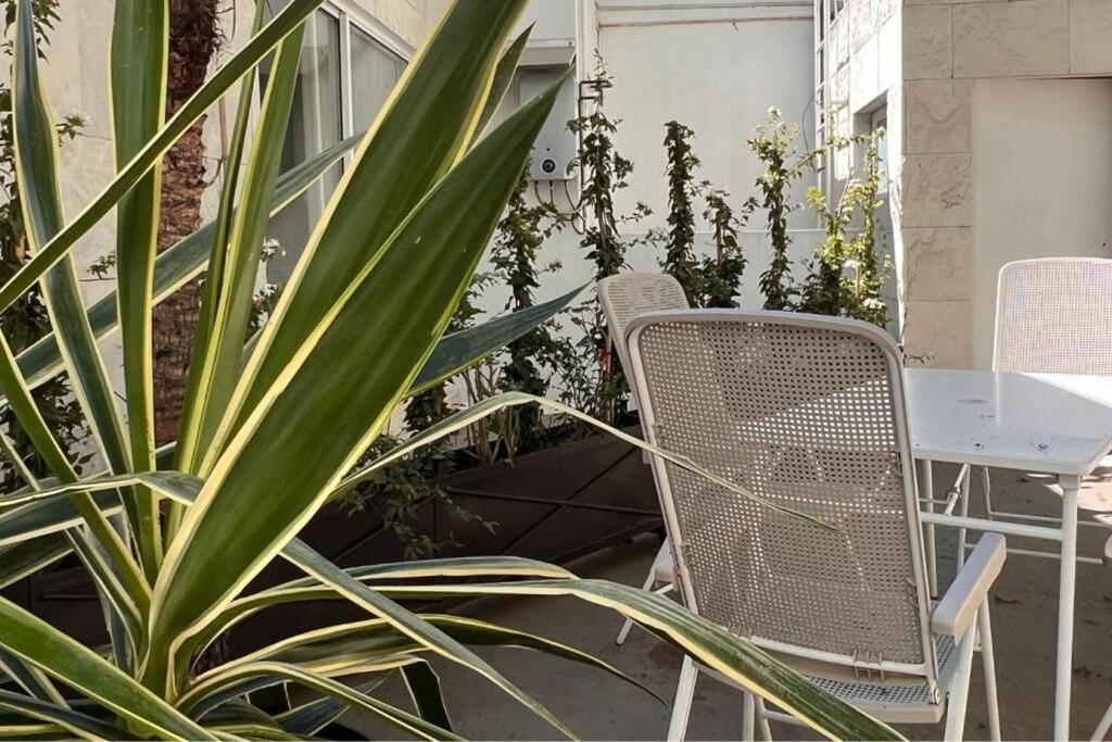Condesa Amsterdam C Stylish 1 Bedroom, 1 Bathroom Gem On Amsterdam Avenue Mexico City