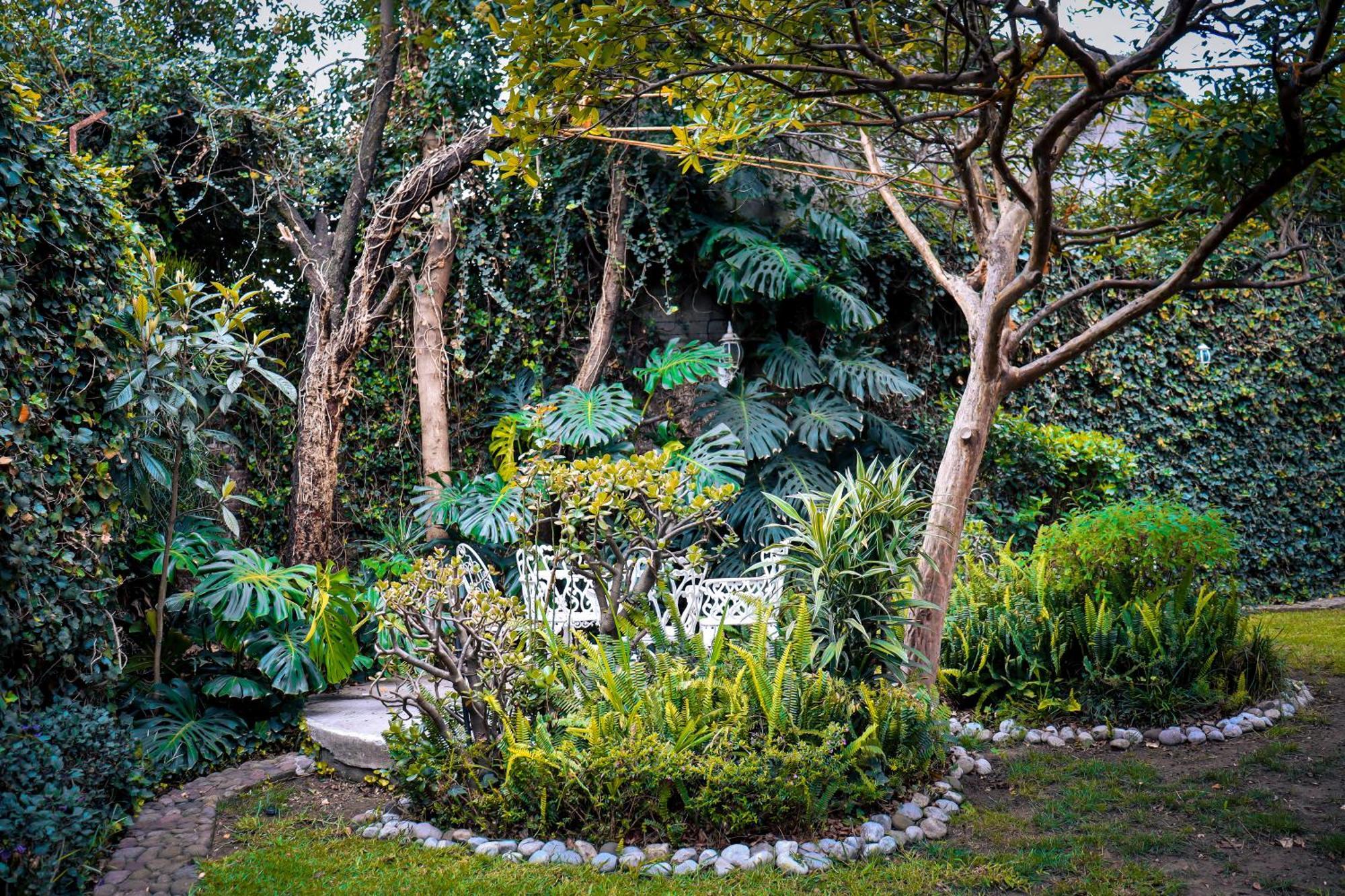 Pensión Cuija Coyoacan Berlin 268 Coyoacan 2*
