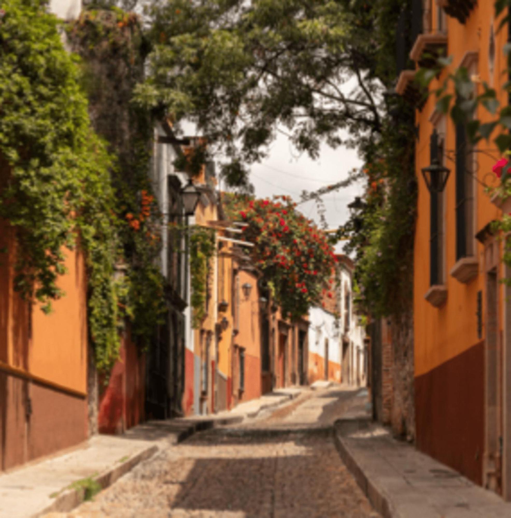 Cuija Coyoacan Berlin 268 Coyoacan Pensión