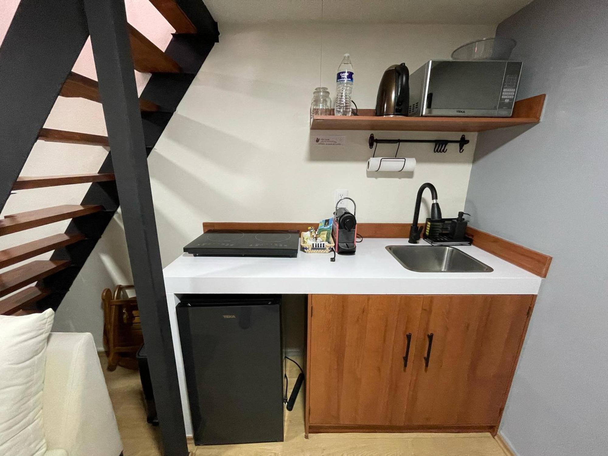 Mini Loft En Coyoacan * Mexico City