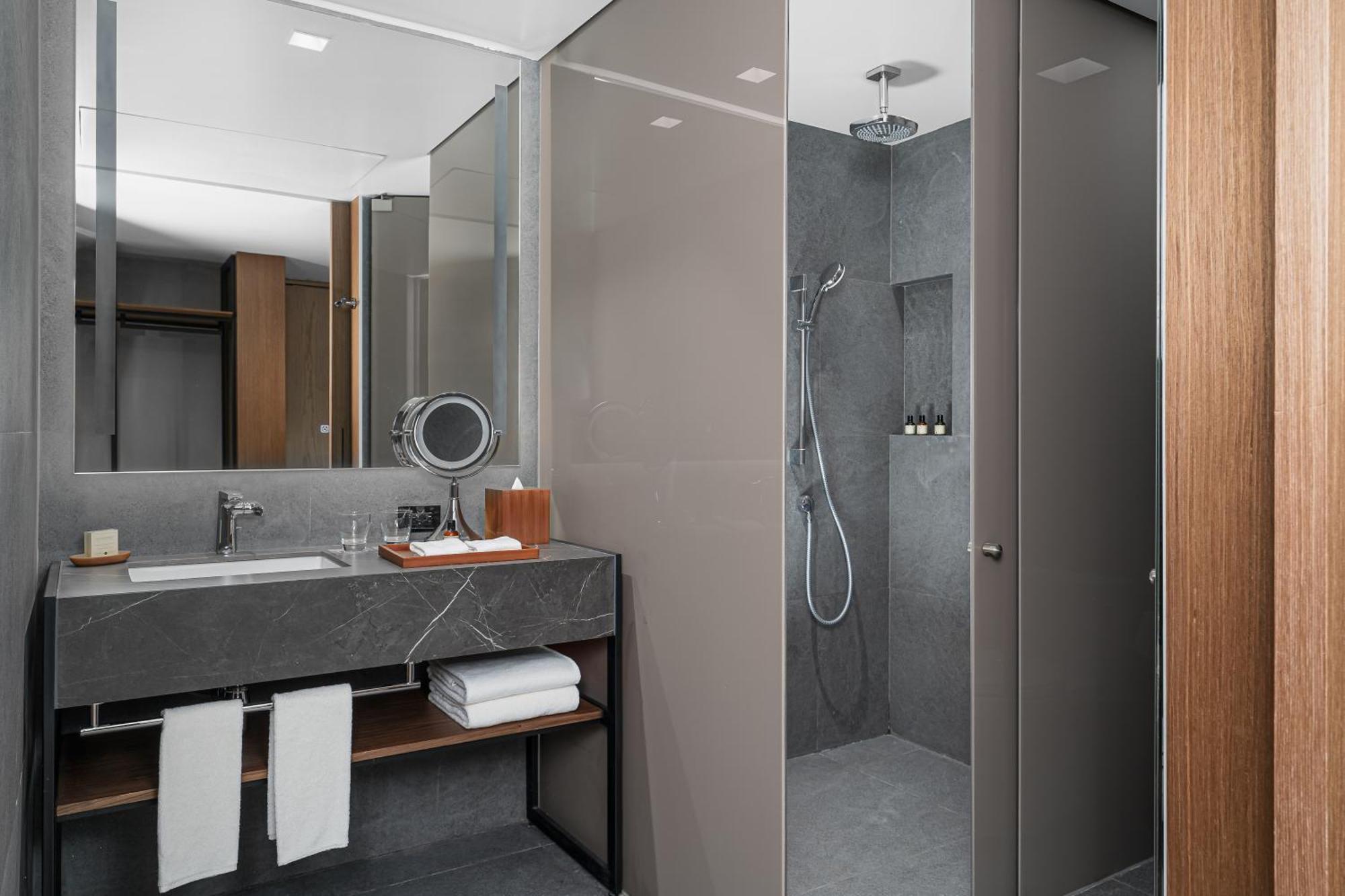 Hotel Hyatt Regency Insurgentes Wtc 5*