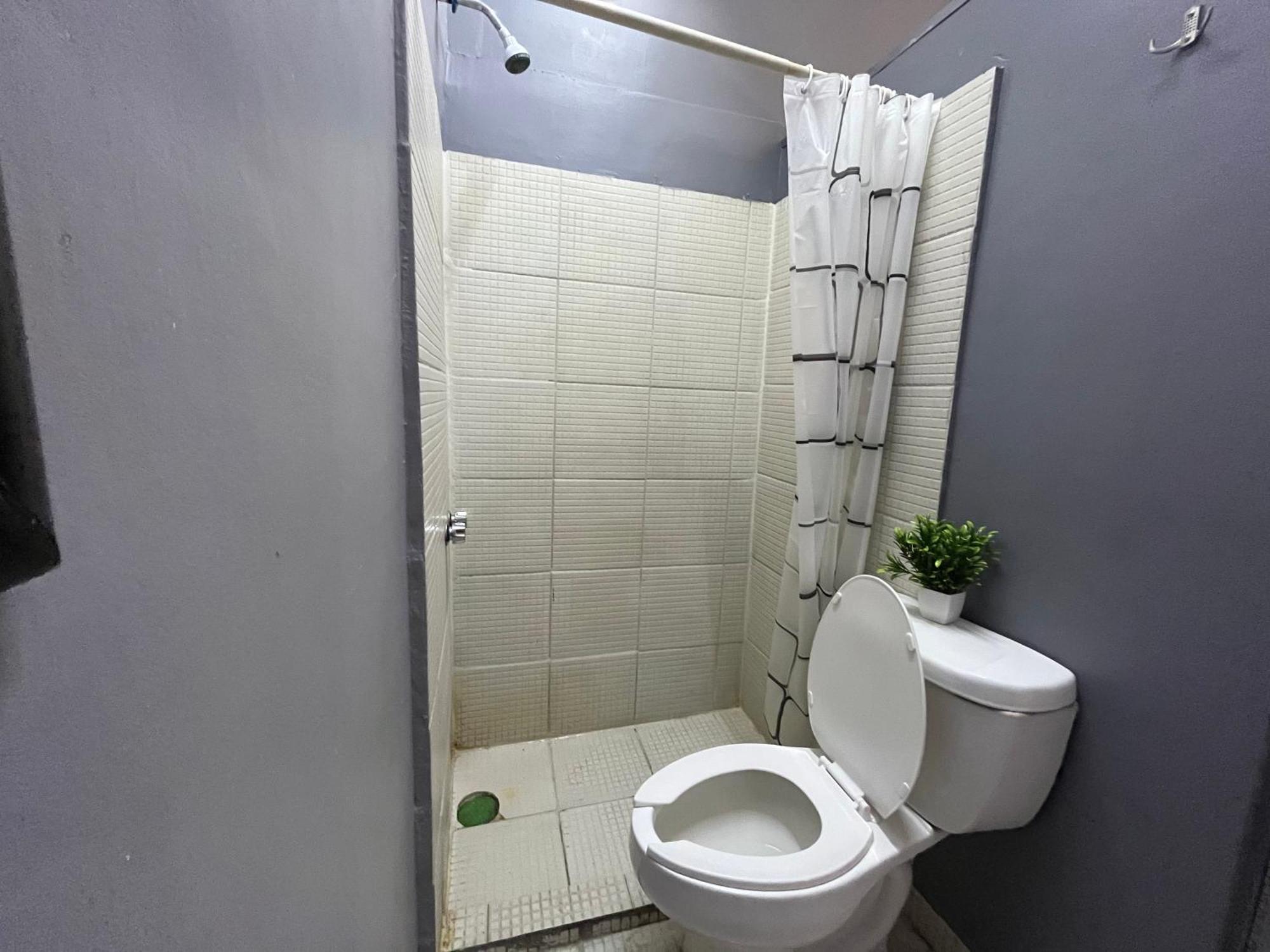 Guest house Whost Centro Historico
