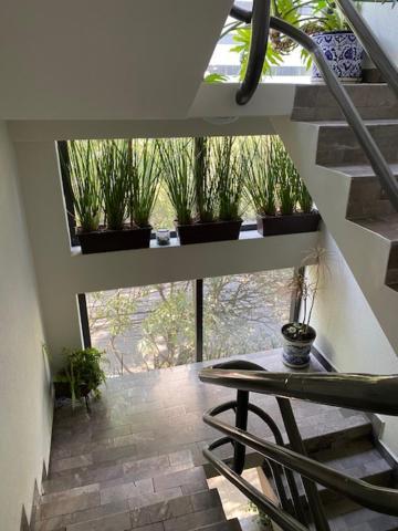Apartamento Sinaloa 46 *