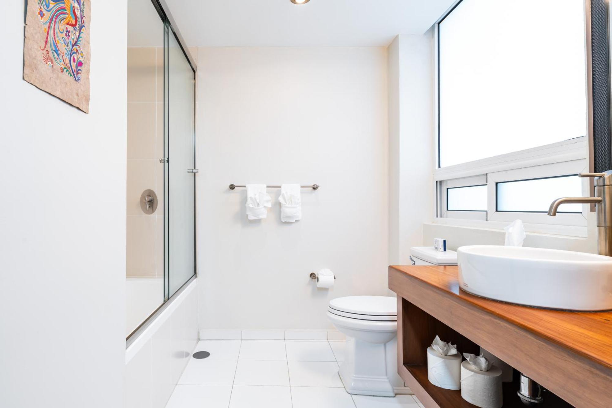Apartment Hidden Gem In Roma Norte 4br Exclusive Penthouse Mexico City