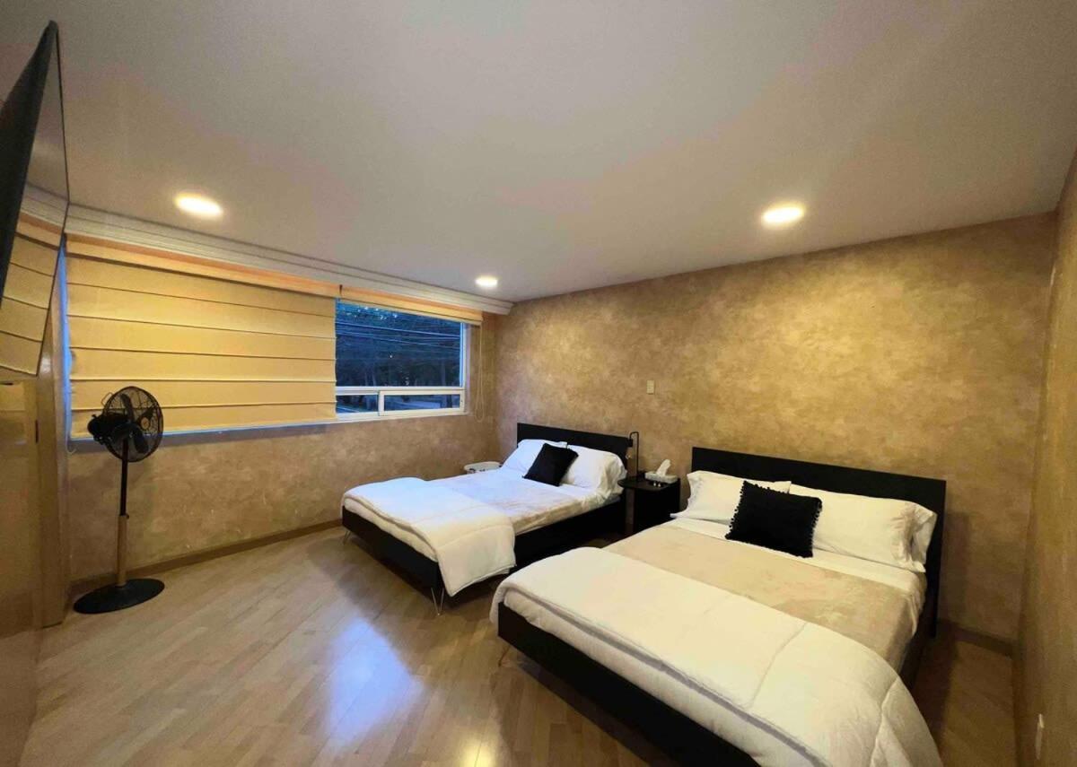 Spacious Polanco With Patio Ideal For Groups Mexico City