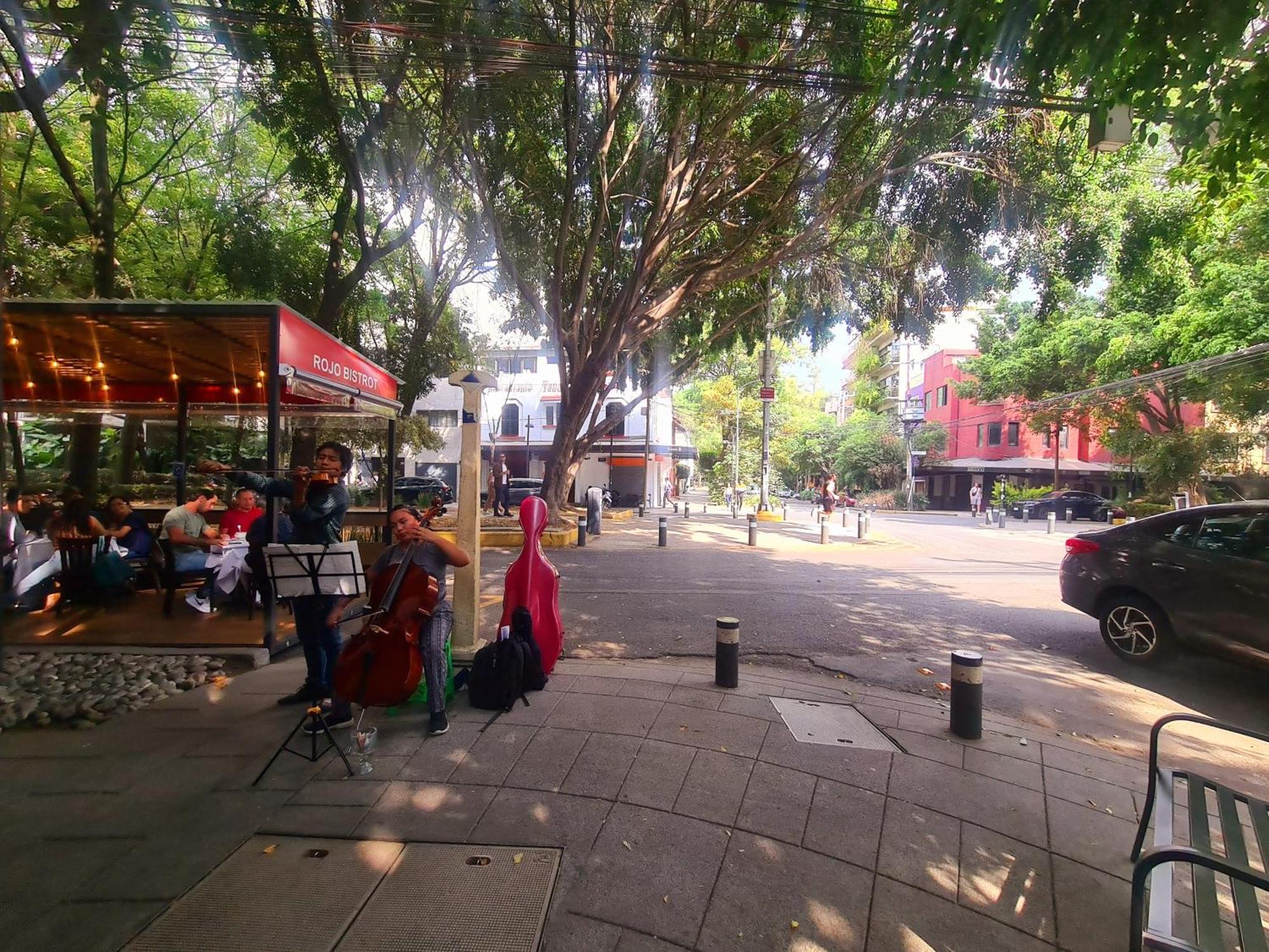 Parque 8 Personas