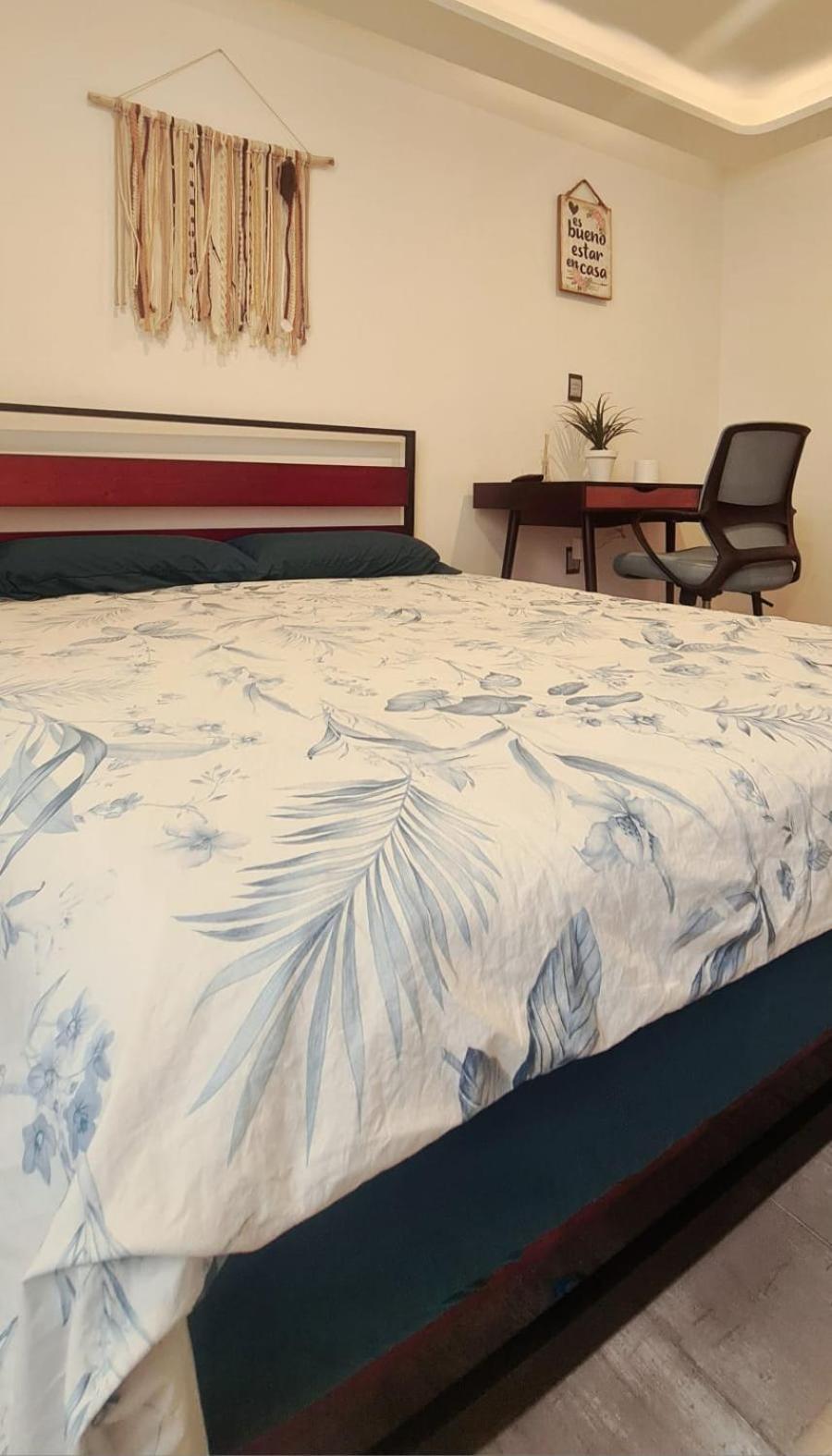 Calida Casa Pet Friendly, Cdmx México DF