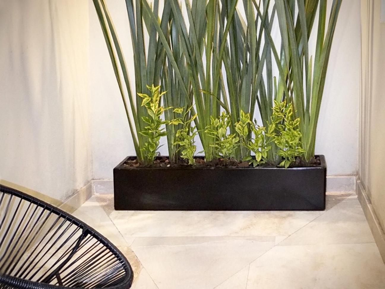 Flats Friends Condesa-pelotari Apartment
