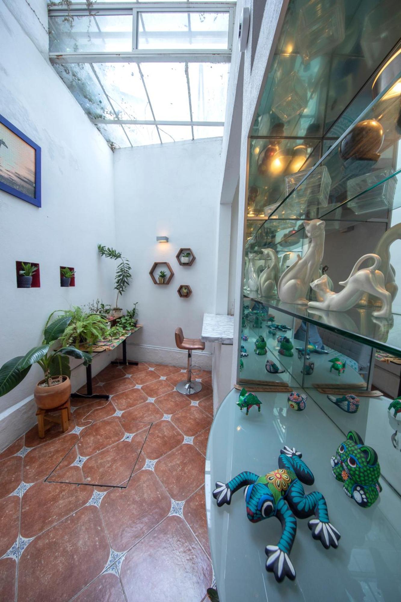 Departamentos Mi Querido Coyoacan 4*