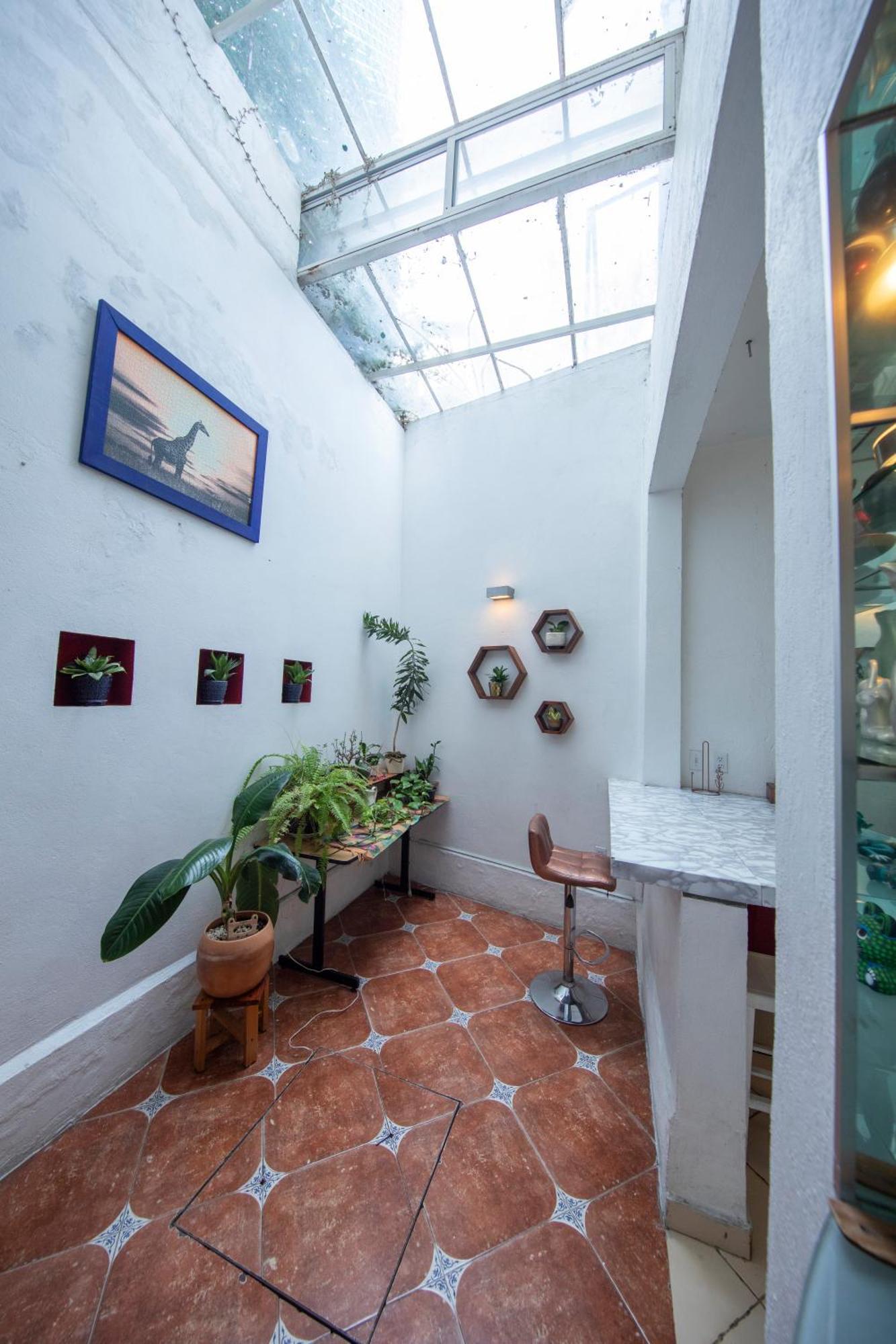 Hotel Departamentos Mi Querido Coyoacan Mexico City
