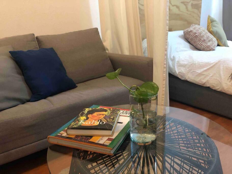 Apartment Loft Luminoso Mexico City