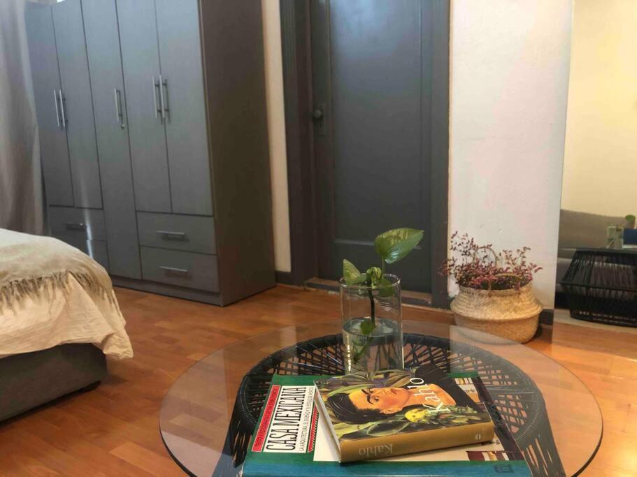 Loft Luminoso Apartment Mexico City