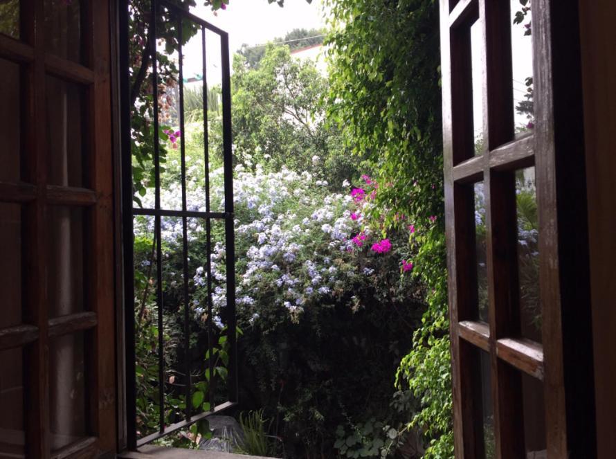 Homestay Cuarto Bano Sala San Angel Cerca De Itam Unam Bazar Sabado