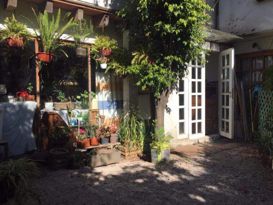 Cuarto Bano Sala San Angel Cerca De Itam Unam Bazar Sabado Homestay *