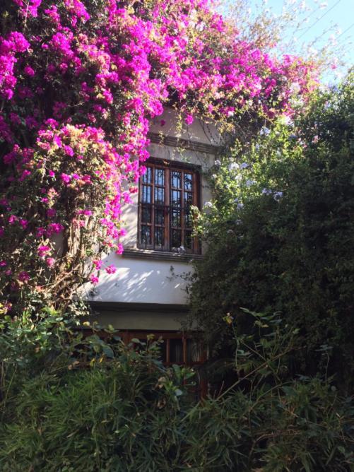 Homestay Cuarto Bano Sala San Angel Cerca De Itam Unam Bazar Sabado *