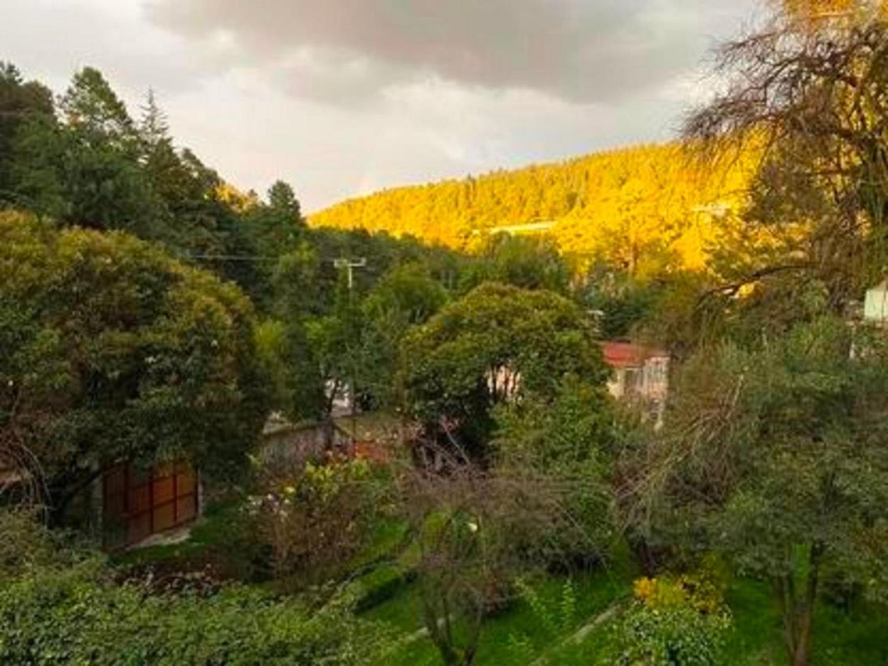 Tipo Cabana, Rodeado De Bosque México DF