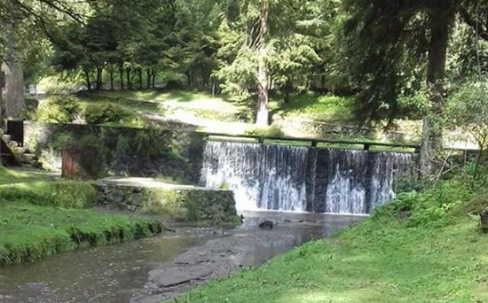 Tipo Cabana, Rodeado De Bosque *
