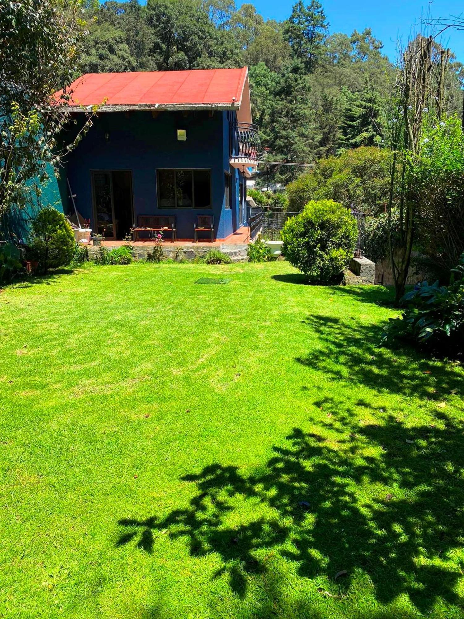 Tipo Cabana, Rodeado De Bosque *