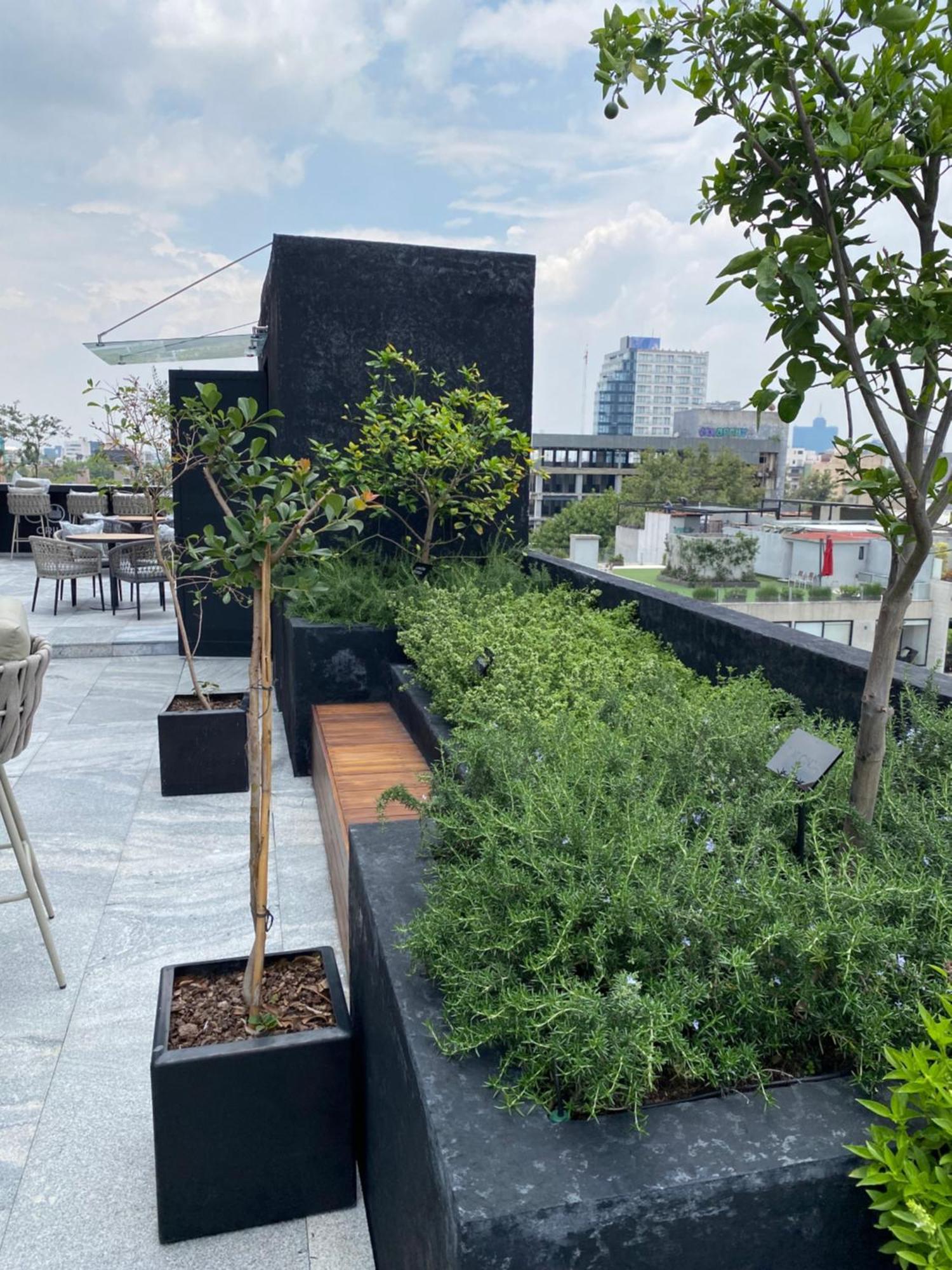 Loft In The Heart Of Roma Norte Steps Away From Cibeles Mexico City