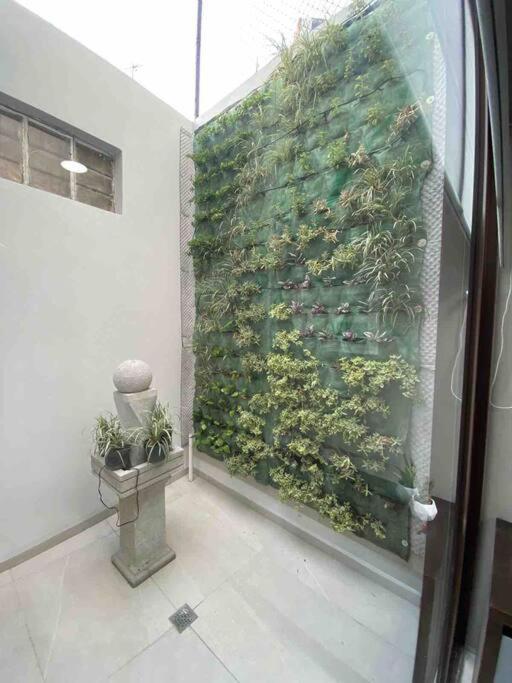 Apartment Petite Ciudad De