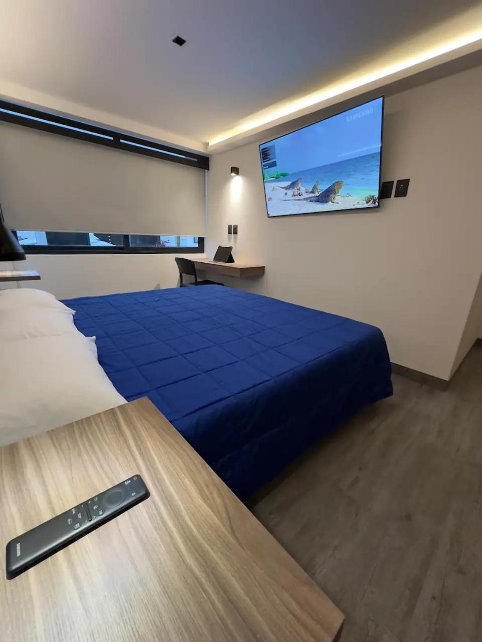 Toronja C O V A D O N G A Guest house Mexico City