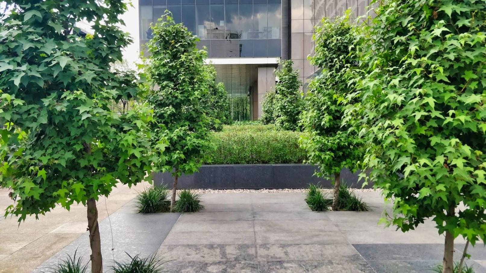 Apartment Luxurious High-rise Hs Wifi, Amazing Views Mexico City