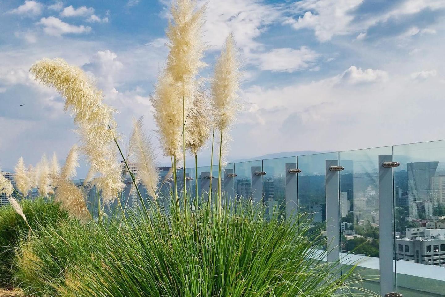 Luxurious High-rise Hs Wifi, Amazing Views