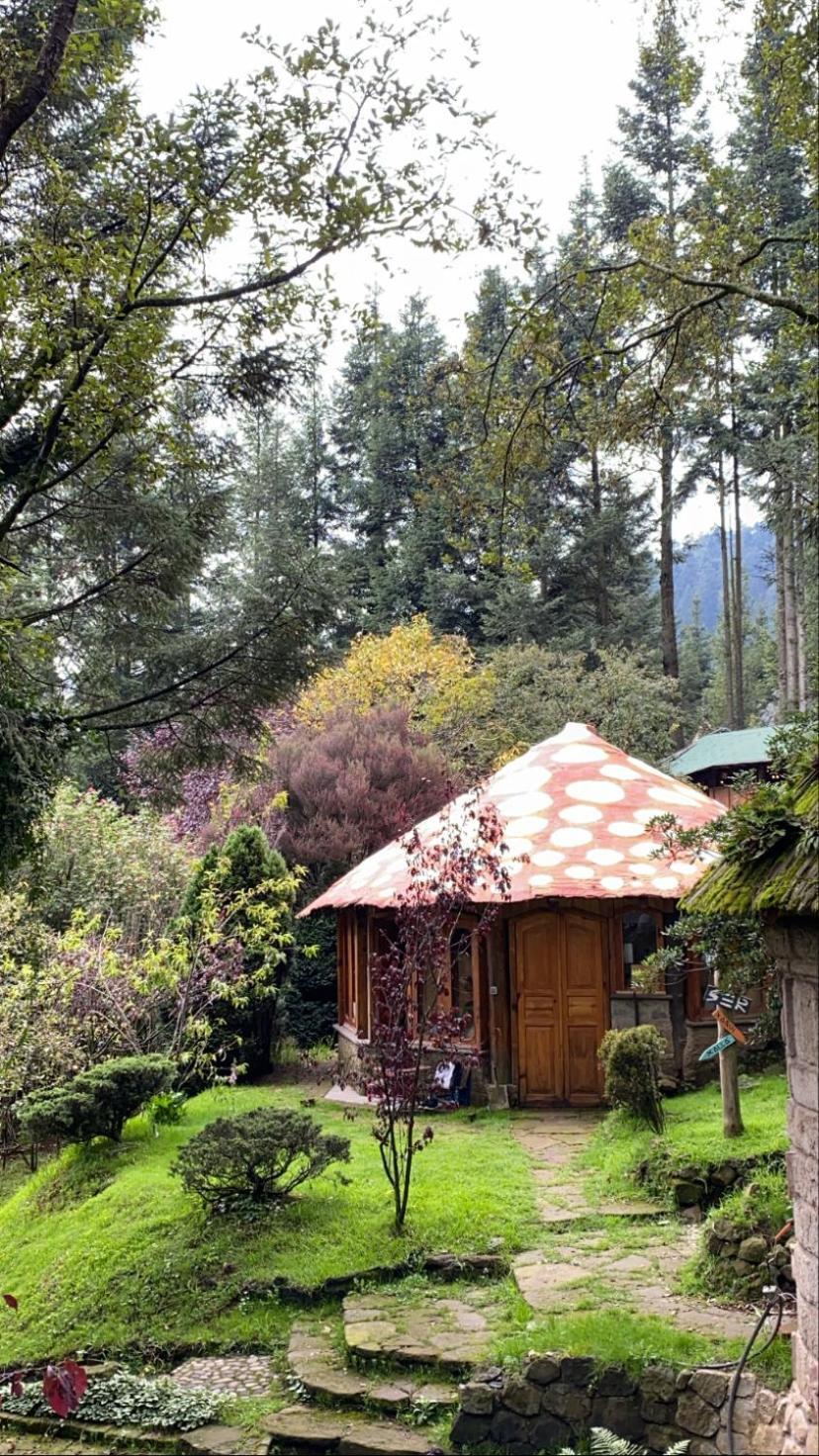 Boxque Teva Resort Mexico City