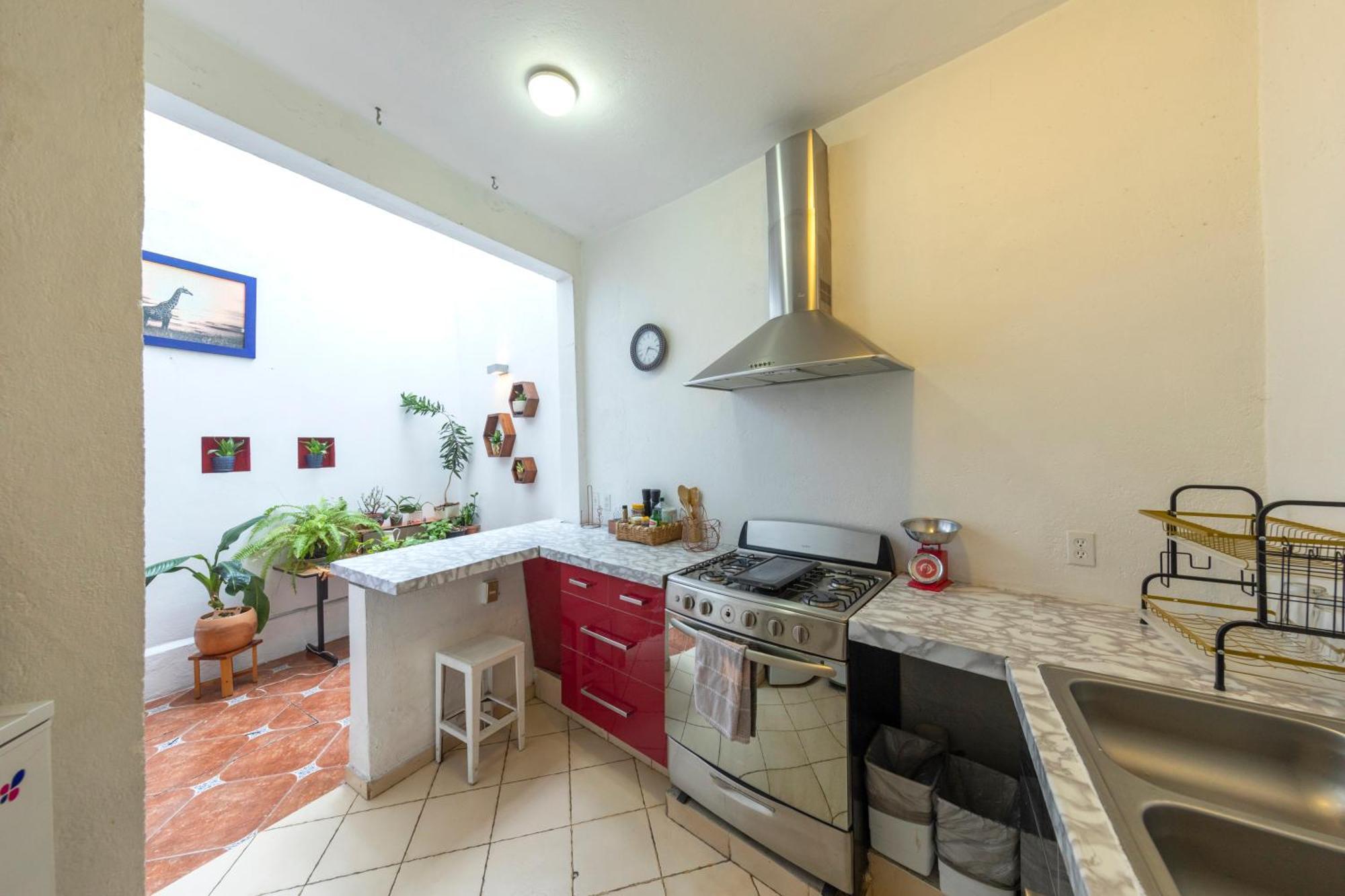 Apartamento Departamentos Mi Querido Coyoacan *