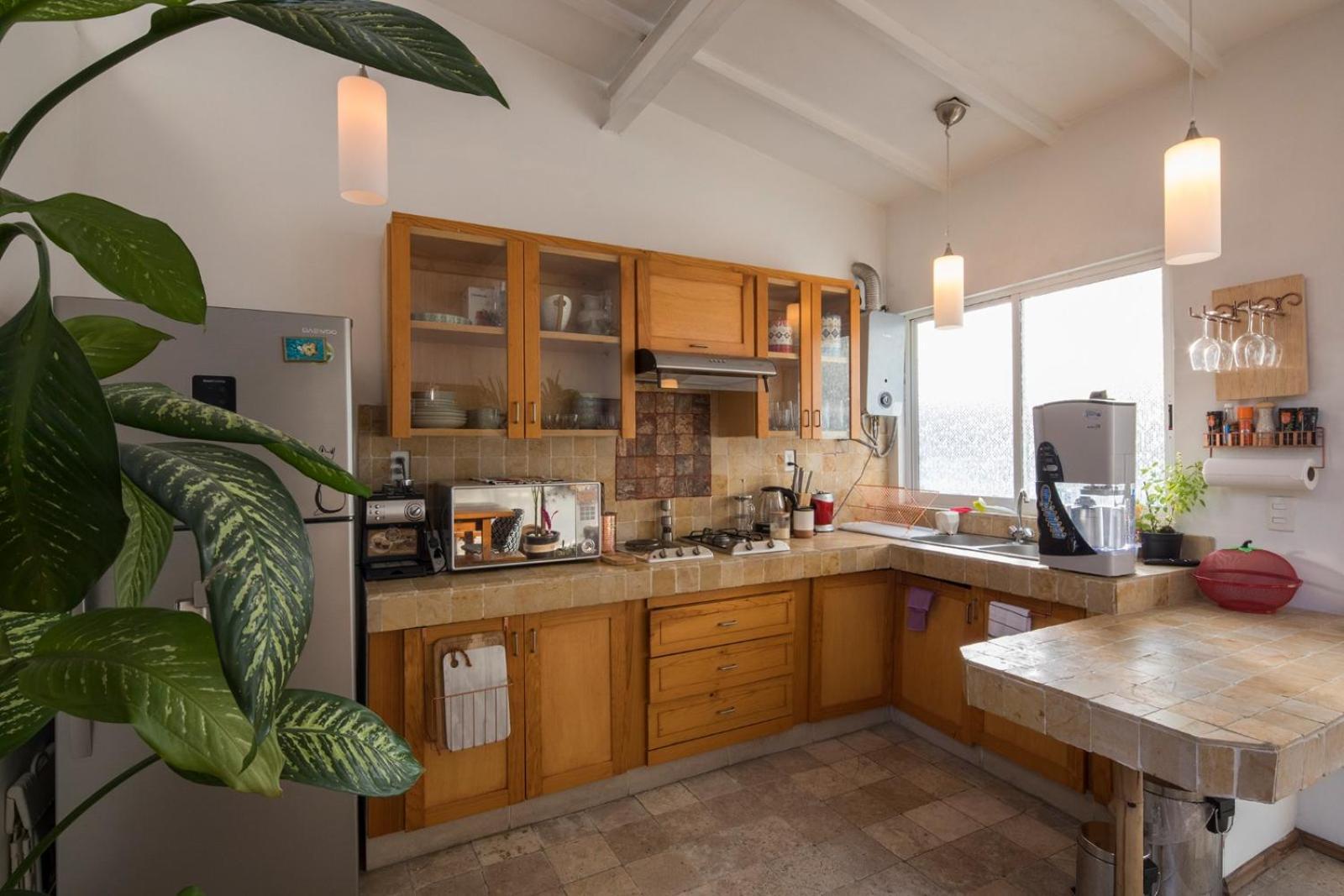 Apartamento Departamentos Mi Querido Coyoacan *
