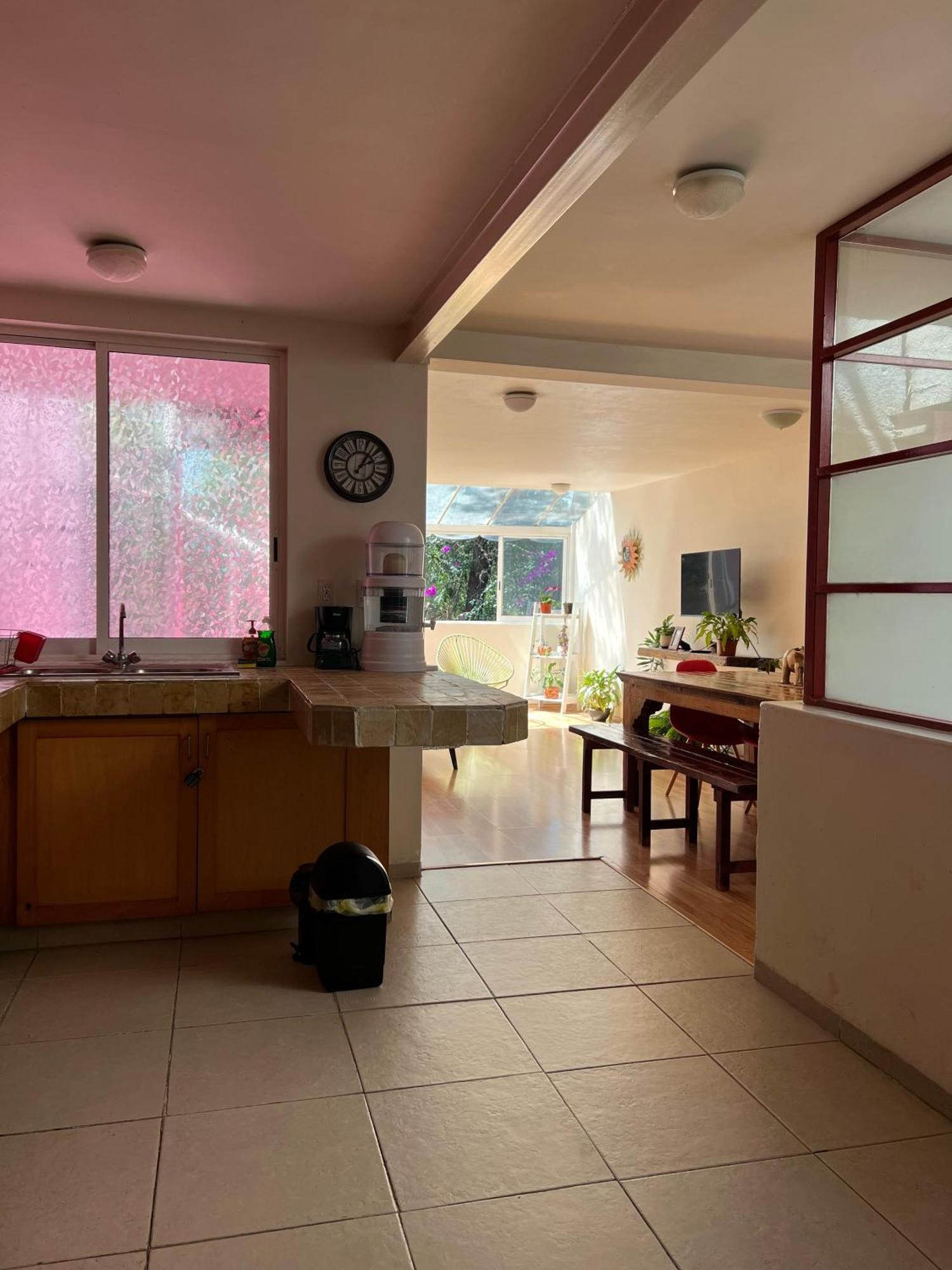 Apartamento Departamentos Mi Querido Coyoacan