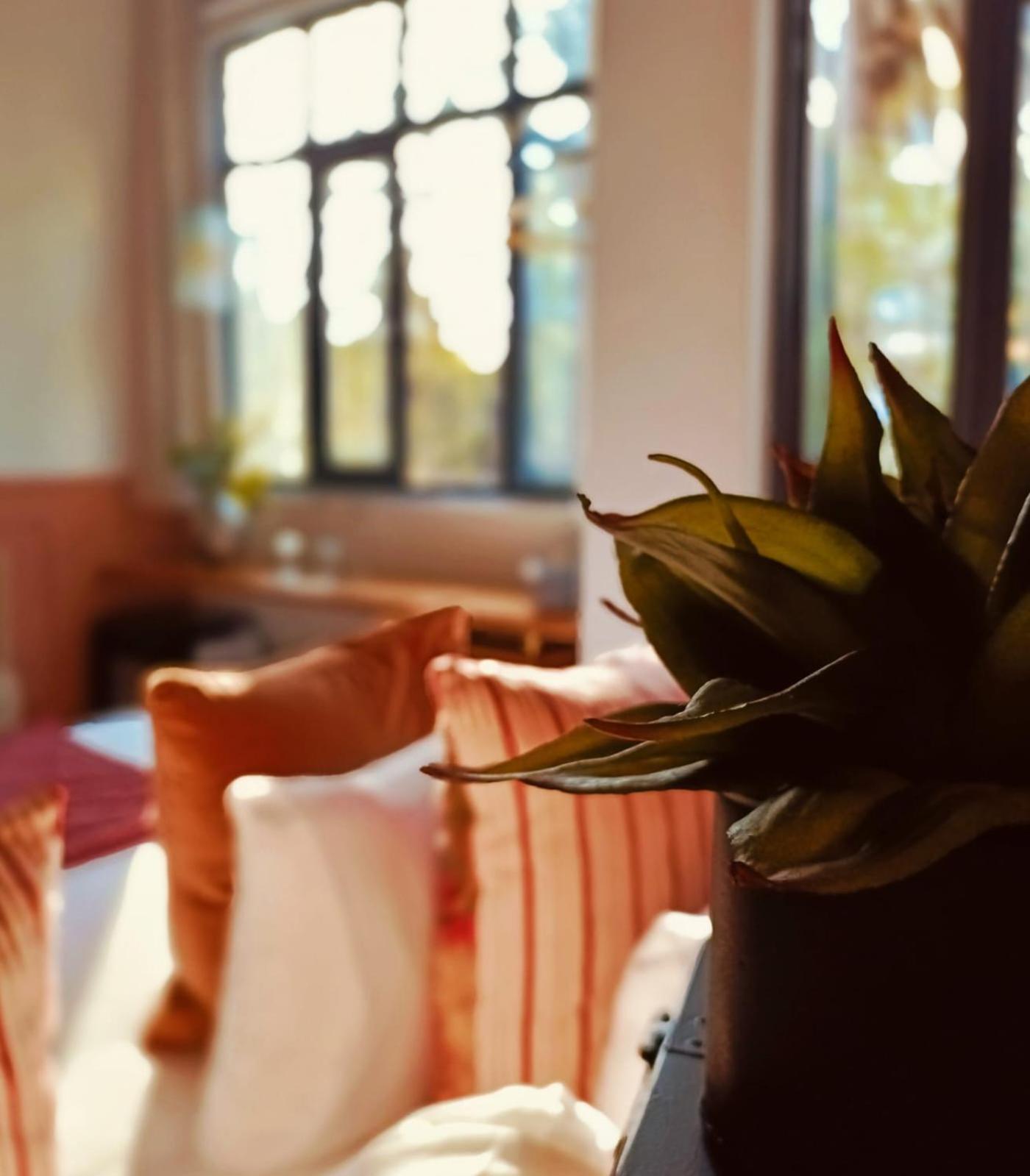 Casa Altata Boutique Mexico City