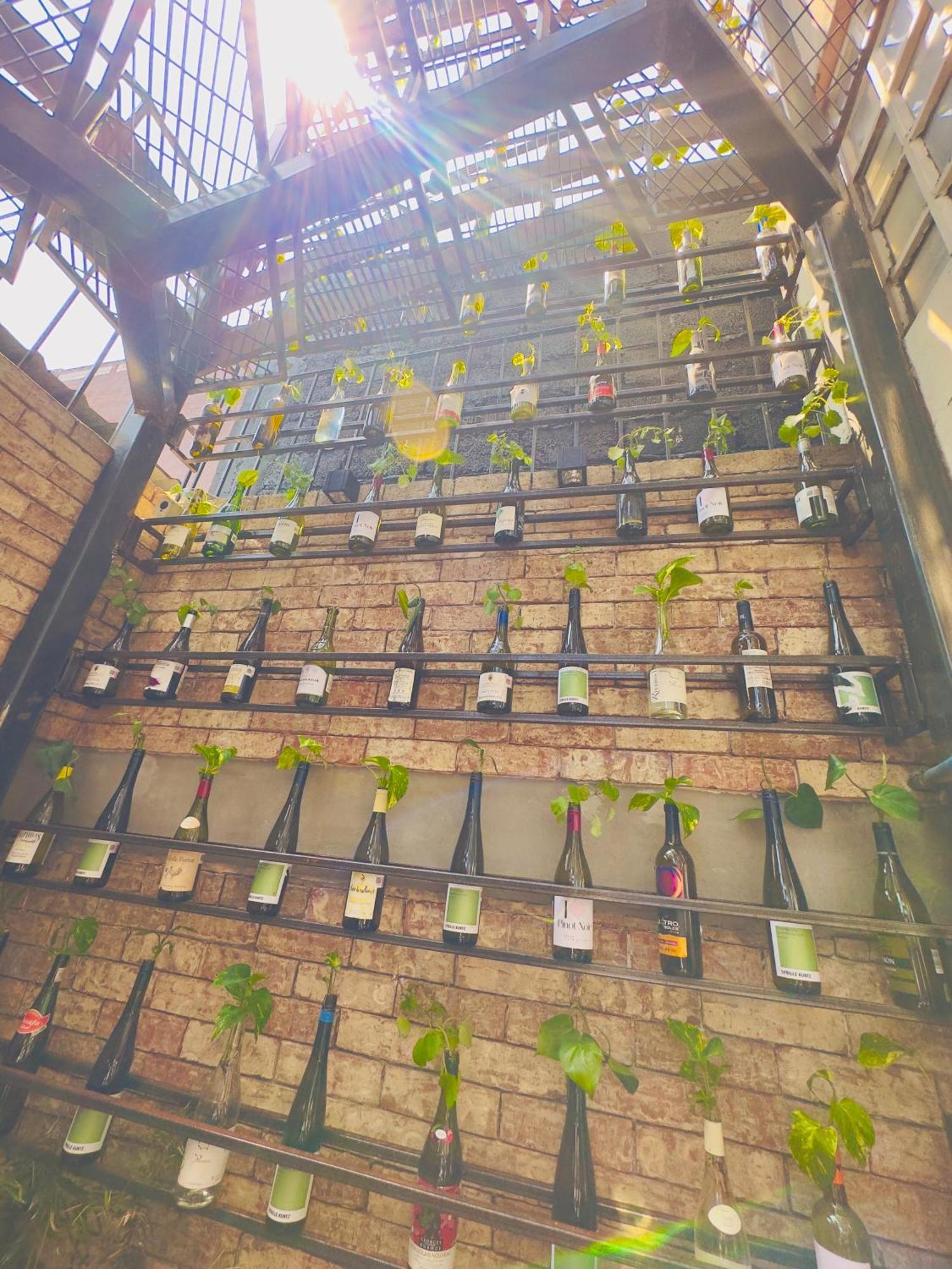 Capsule hotel Del Lofts Mexico City
