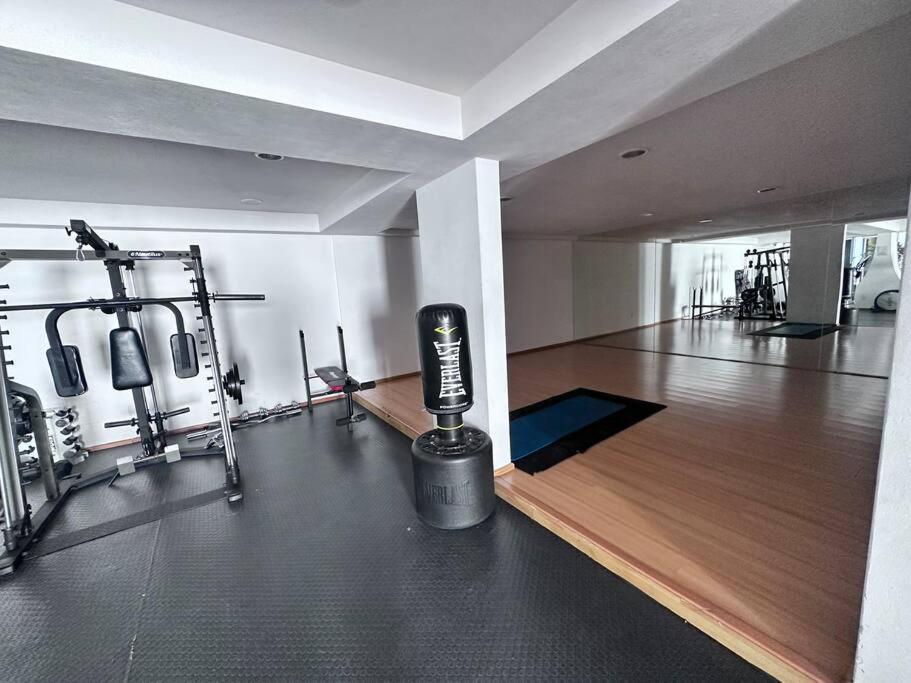 Absolute Location In Cdmx Apartment Mexico City