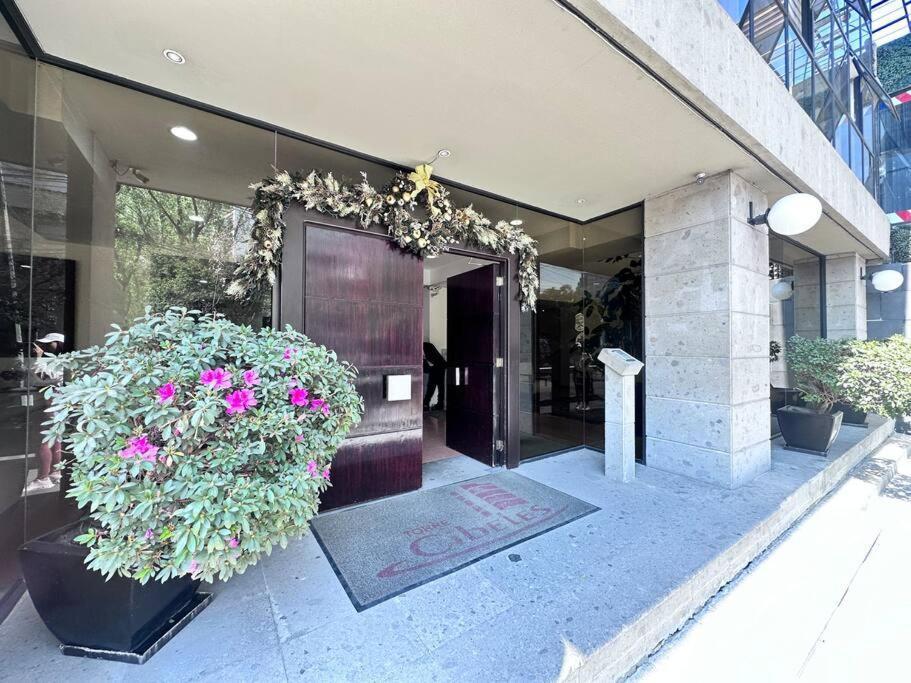 Apartment Absolute Location In Cdmx *