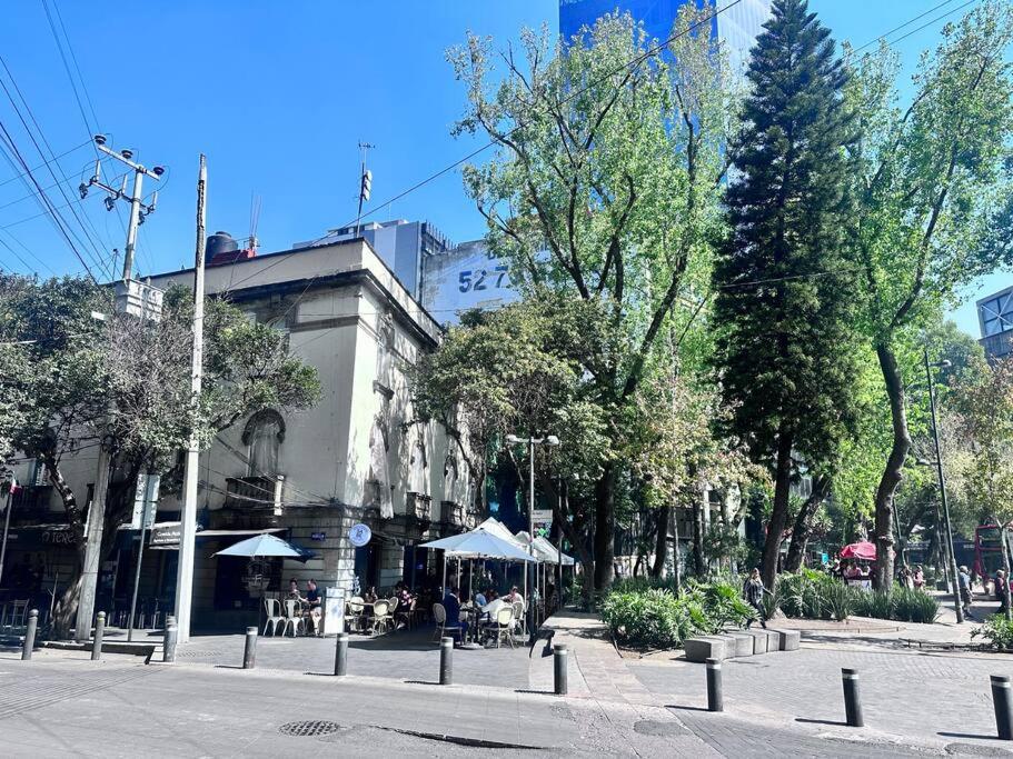 Absolute Location In Cdmx Apartment