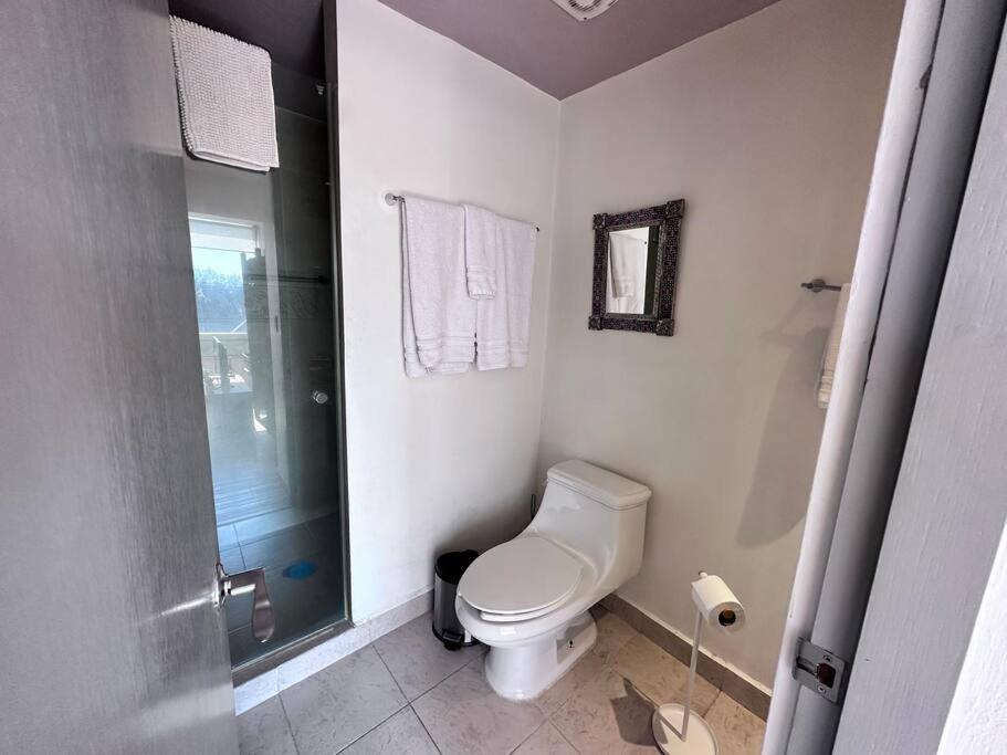 Apartment Absolute Location In Cdmx Mexico City