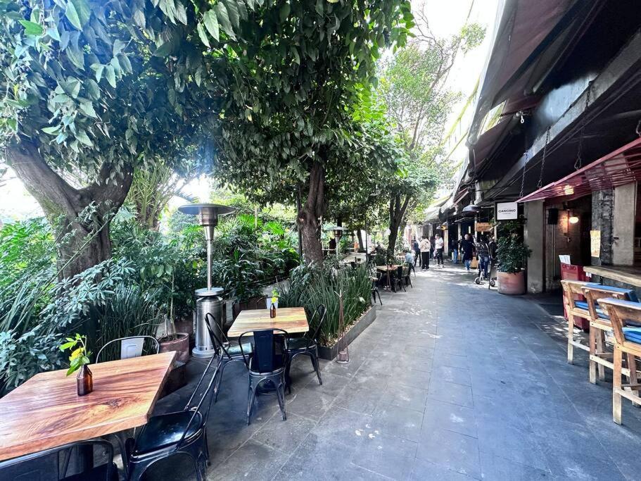 Absolute Location In Cdmx Mexico City