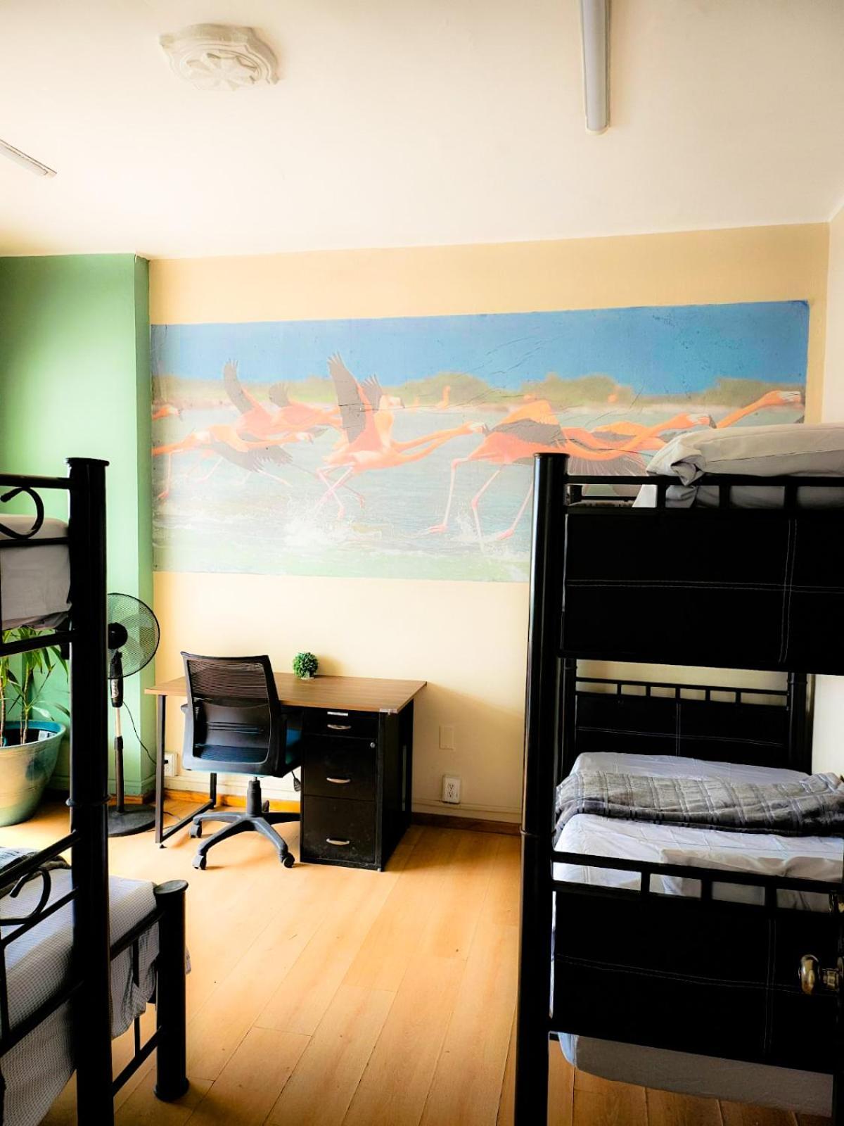 Guest house Del Valle