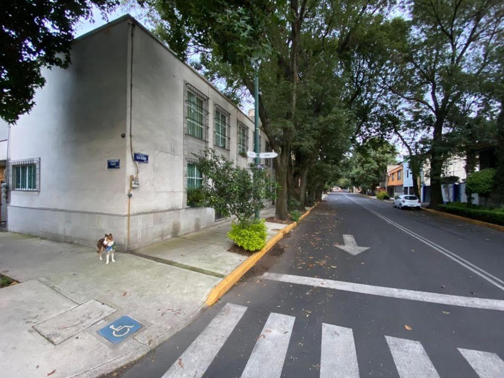 Homestay El Balcon De Superanfitrion Coyoacan