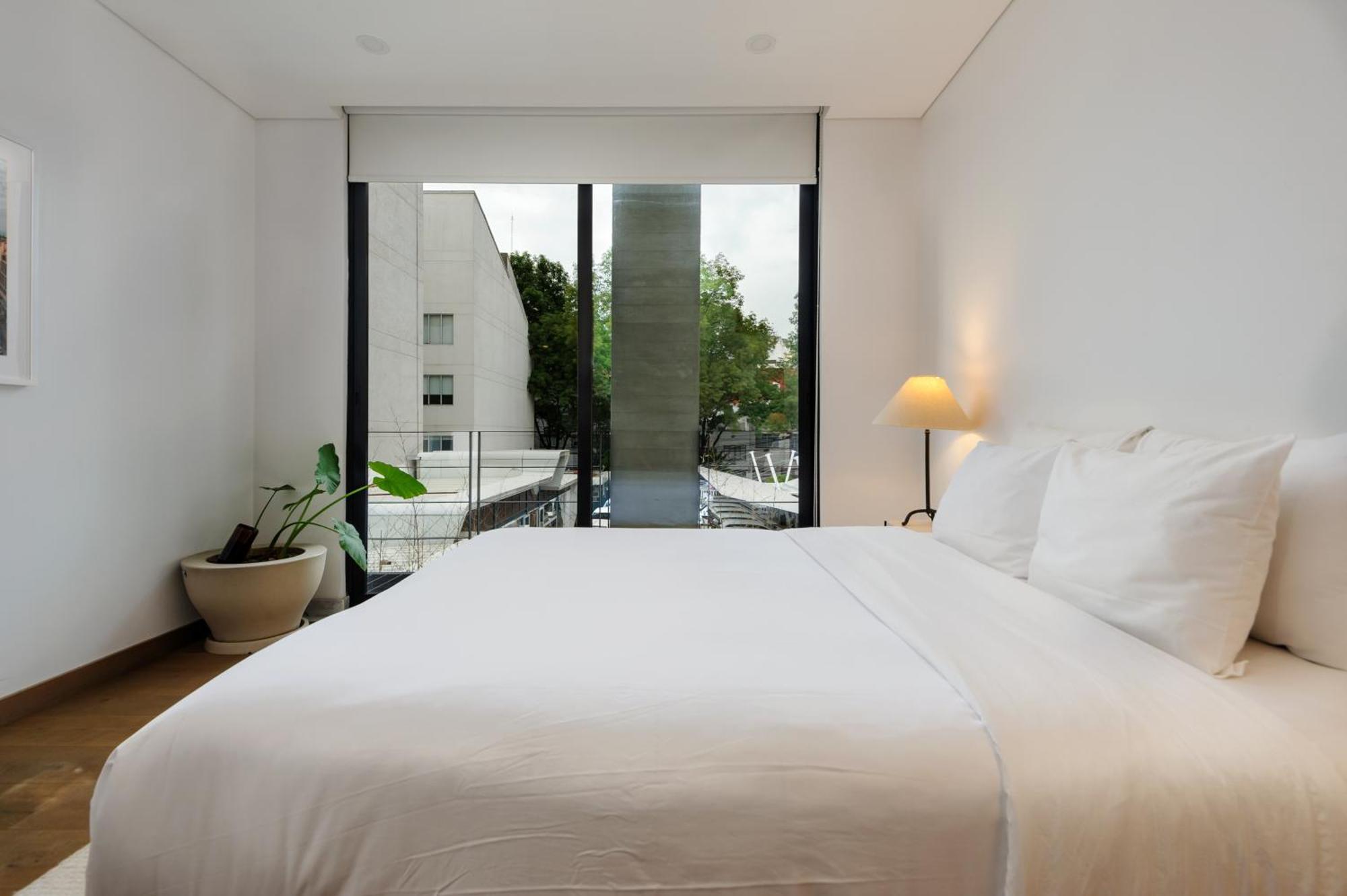 Schiller 122 By Wynwood House * Mexico City