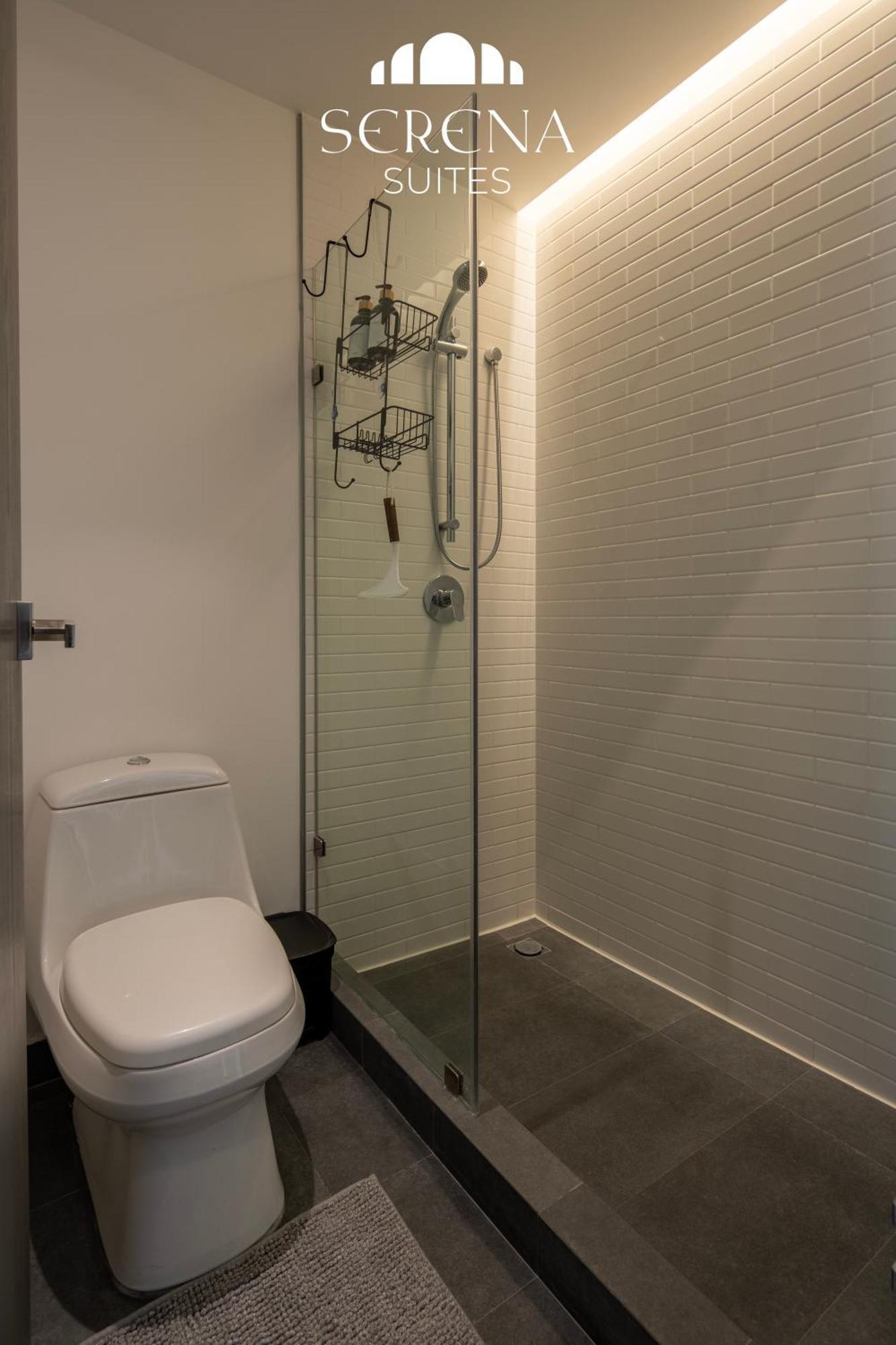 Apartment Elegant With Air Conditioning, Pool, Sauna, & Fitness Center In Polanco Mexico City