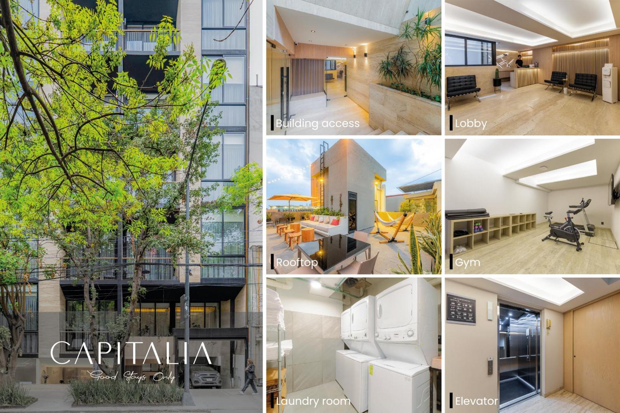 Apartment Capitalia - Luxury - Homero *