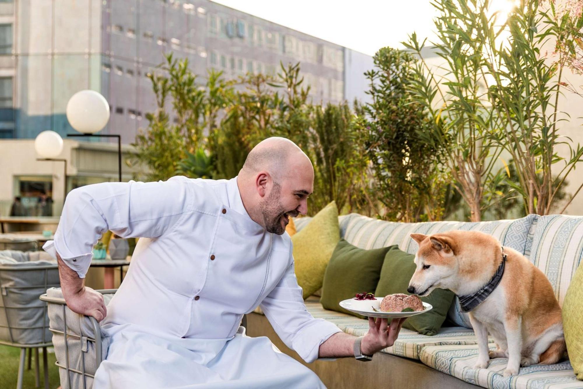 Andaz Condesa