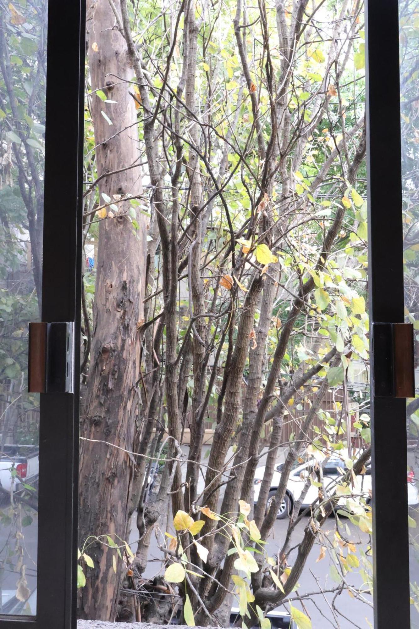 Sanrafa Polanco I Aparthotel Mexico City