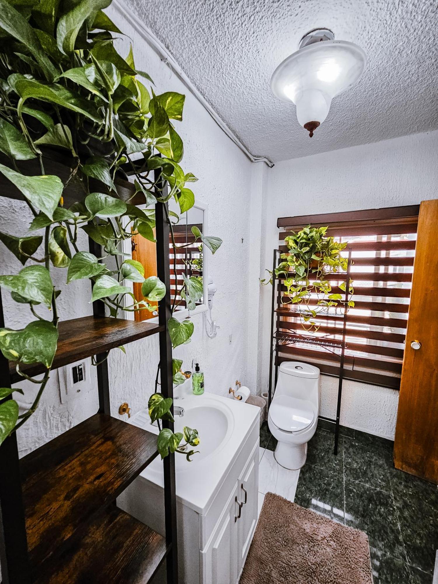 Con Bano Privado B, Centro De Coyoacan Apartment Mexico City