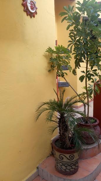 Casa Sol Y Luna Guest house Mexico City