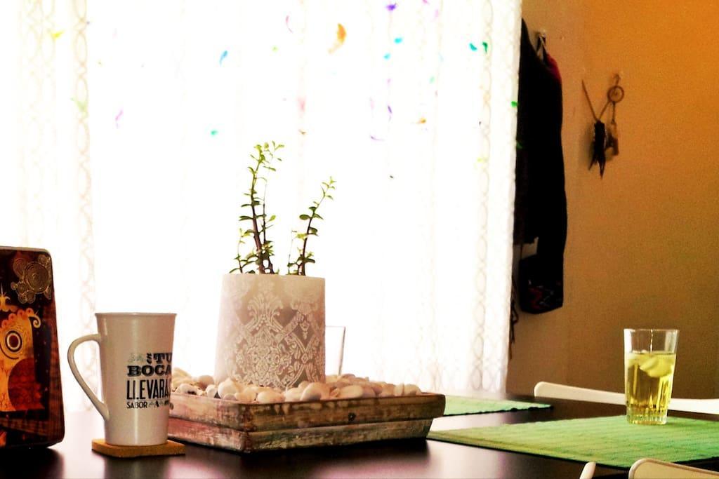 Homestay Colonia Del Valle